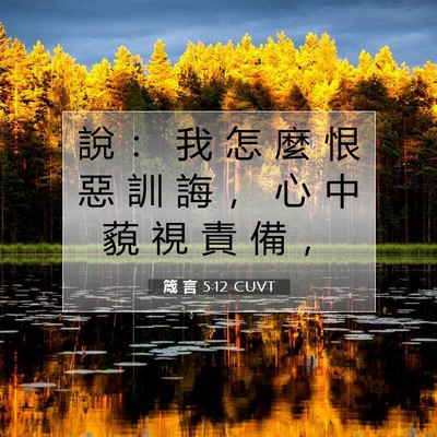 Picture 07 - 箴 言 5:12 CUVT - 說 ： 我 怎 麼 恨 惡 訓 誨 ， 心 中 - Bible Verse Picture