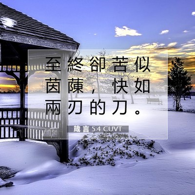 Picture 07 - 箴 言 5:4 CUVT - 至 終 卻 苦 似 茵 蔯 ， 快 如 兩 刃 - Bible Verse Picture