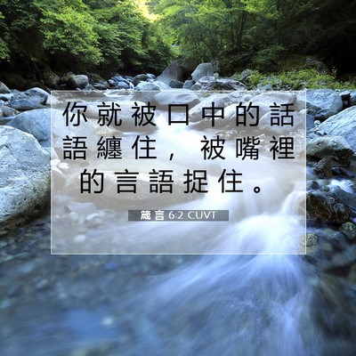 Picture 07 - 箴 言 6:2 CUVT - 你 就 被 口 中 的 話 語 纏 住 ， 被 - Bible Verse Picture