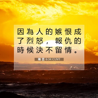 Picture 07 - 箴 言 6:34 CUVT - 因 為 人 的 嫉 恨 成 了 烈 怒 ， 報 - Bible Verse Picture