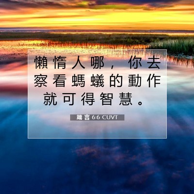 Picture 07 - 箴 言 6:6 CUVT - 懶 惰 人 哪 ， 你 去 察 看 螞 蟻 的 - Bible Verse Picture