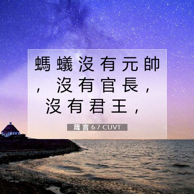 Picture 07 - 箴 言 6:7 CUVT - 螞 蟻 沒 有 元 帥 ， 沒 有 官 長 ， - Bible Verse Picture