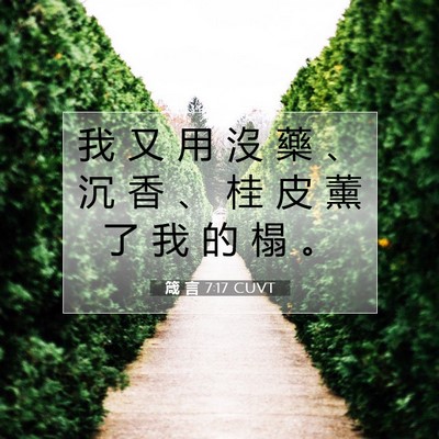 Picture 07 - 箴 言 7:17 CUVT - 我 又 用 沒 藥 、 沉 香 、 桂 皮 薰 - Bible Verse Picture