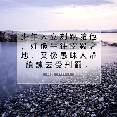 Picture 07 - 箴 言 7:22 CUVT - 少 年 人 立 刻 跟 隨 他 ， 好 像 牛 - Bible Verse Picture