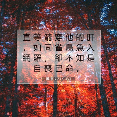 Picture 07 - 箴 言 7:23 CUVT - 直 等 箭 穿 他 的 肝 ， 如 同 雀 鳥 - Bible Verse Picture