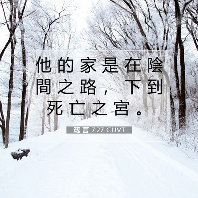 Picture 07 - 箴 言 7:27 CUVT - 他 的 家 是 在 陰 間 之 路 ， 下 到 - Bible Verse Picture