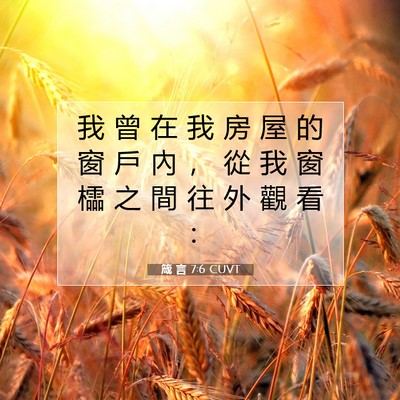 Picture 07 - 箴 言 7:6 CUVT - 我 曾 在 我 房 屋 的 窗 戶 內 ， 從 - Bible Verse Picture