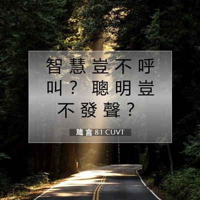 Picture 07 - 箴 言 8:1 CUVT - 智 慧 豈 不 呼 叫 ？ 聰 明 豈 不 發 - Bible Verse Picture