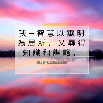 Picture 07 - 箴 言 8:12 CUVT - 我 ─ 智 慧 以 靈 明 為 居 所 ， 又 - Bible Verse Picture