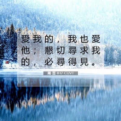 Picture 07 - 箴 言 8:17 CUVT - 愛 我 的 ， 我 也 愛 他 ； 懇 切 尋 - Bible Verse Picture