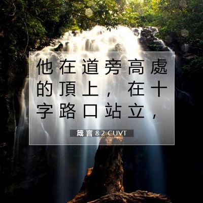 Picture 07 - 箴 言 8:2 CUVT - 他 在 道 旁 高 處 的 頂 上 ， 在 十 - Bible Verse Picture