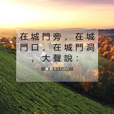 Picture 07 - 箴 言 8:3 CUVT - 在 城 門 旁 ， 在 城 門 口 ， 在 城 - Bible Verse Picture