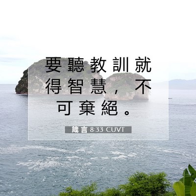 Picture 07 - 箴 言 8:33 CUVT - 要 聽 教 訓 就 得 智 慧 ， 不 可 棄 - Bible Verse Picture