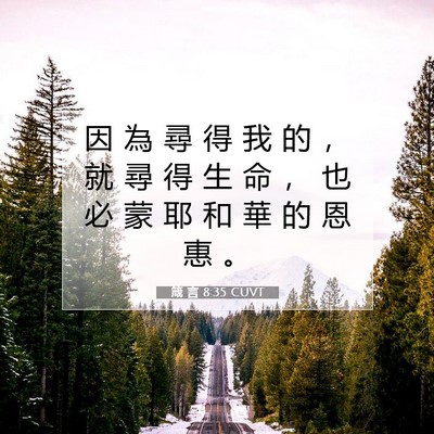 Picture 07 - 箴 言 8:35 CUVT - 因 為 尋 得 我 的 ， 就 尋 得 生 命 - Bible Verse Picture