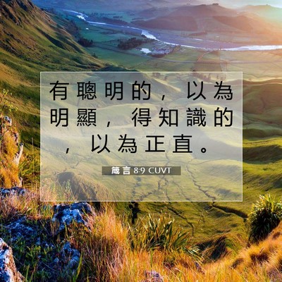 Picture 07 - 箴 言 8:9 CUVT - 有 聰 明 的 ， 以 為 明 顯 ， 得 知 - Bible Verse Picture