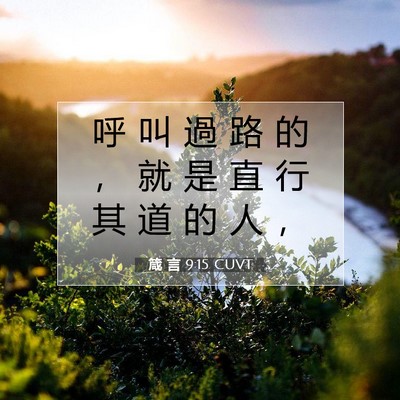 Picture 07 - 箴 言 9:15 CUVT - 呼 叫 過 路 的 ， 就 是 直 行 其 道 - Bible Verse Picture