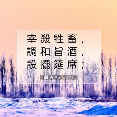 Picture 07 - 箴 言 9:2 CUVT - 宰 殺 牲 畜 ， 調 和 旨 酒 ， 設 擺 - Bible Verse Picture