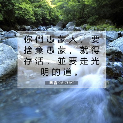 Picture 07 - 箴 言 9:6 CUVT - 你 們 愚 蒙 人 ， 要 捨 棄 愚 蒙 ， - Bible Verse Picture