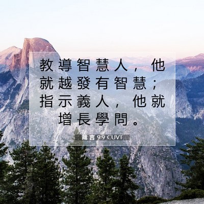 Picture 07 - 箴 言 9:9 CUVT - 教 導 智 慧 人 ， 他 就 越 發 有 智 - Bible Verse Picture