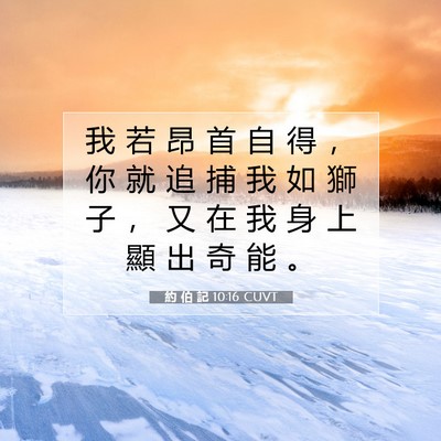 Picture 07 - 約 伯 記 10:16 CUVT - 我 若 昂 首 自 得 ， 你 就 追 捕 我 - Bible Verse Picture