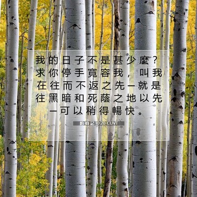 Picture 07 - 約 伯 記 10:20 CUVT - 我 的 日 子 不 是 甚 少 麼 ？ 求 你 - Bible Verse Picture