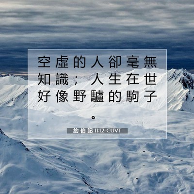 Picture 07 - 約 伯 記 11:12 CUVT - 空 虛 的 人 卻 毫 無 知 識 ； 人 生 - Bible Verse Picture