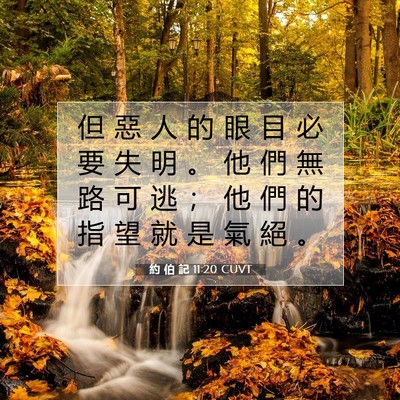 Picture 07 - 約 伯 記 11:20 CUVT - 但 惡 人 的 眼 目 必 要 失 明 。 他 - Bible Verse Picture