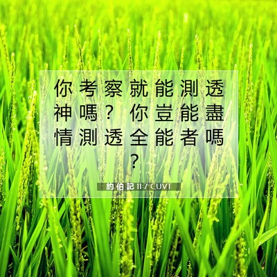 Picture 07 - 約 伯 記 11:7 CUVT - 你 考 察 就 能 測 透 神 嗎 ？ 你 豈 - Bible Verse Picture