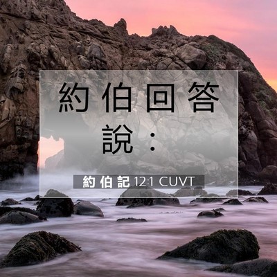 Picture 07 - 約 伯 記 12:1 CUVT - 約 伯 回 答 說 - Bible Verse Picture