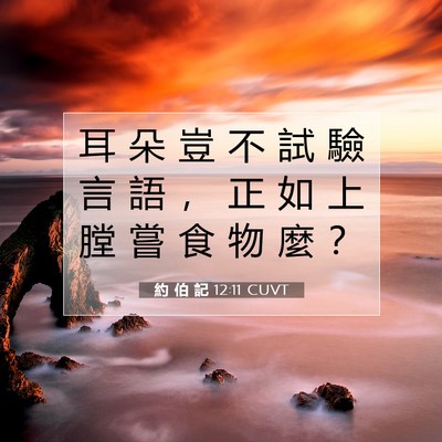 Picture 07 - 約 伯 記 12:11 CUVT - 耳 朵 豈 不 試 驗 言 語 ， 正 如 上 - Bible Verse Picture