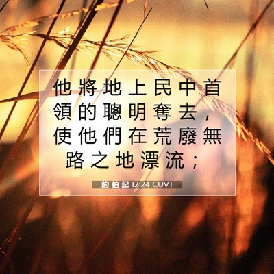 Picture 07 - 約 伯 記 12:24 CUVT - 他 將 地 上 民 中 首 領 的 聰 明 奪 - Bible Verse Picture