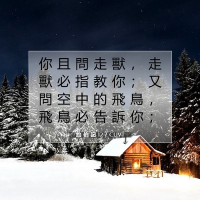 Picture 07 - 約 伯 記 12:7 CUVT - 你 且 問 走 獸 ， 走 獸 必 指 教 你 - Bible Verse Picture