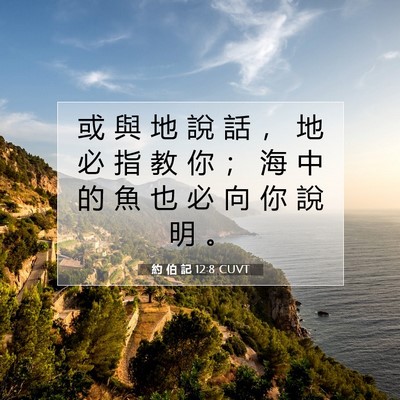 Picture 07 - 約 伯 記 12:8 CUVT - 或 與 地 說 話 ， 地 必 指 教 你 ； - Bible Verse Picture
