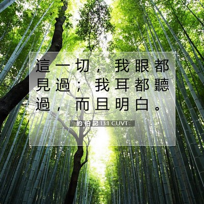 Picture 07 - 約 伯 記 13:1 CUVT - 這 一 切 ， 我 眼 都 見 過 ； 我 耳 - Bible Verse Picture