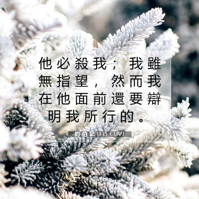 Picture 07 - 約 伯 記 13:15 CUVT - 他 必 殺 我 ； 我 雖 無 指 望 ， 然 - Bible Verse Picture