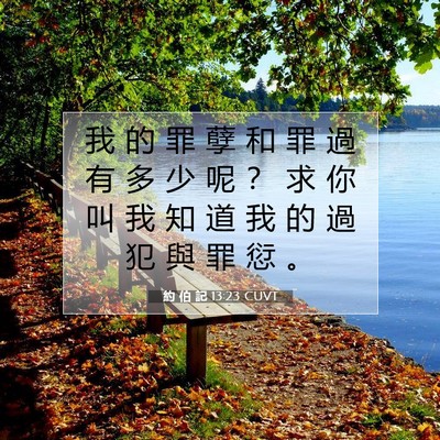 Picture 07 - 約 伯 記 13:23 CUVT - 我 的 罪 孽 和 罪 過 有 多 少 呢 ？ - Bible Verse Picture