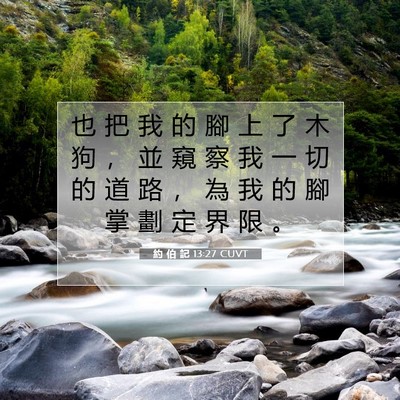 Picture 07 - 約 伯 記 13:27 CUVT - 也 把 我 的 腳 上 了 木 狗 ， 並 窺 - Bible Verse Picture