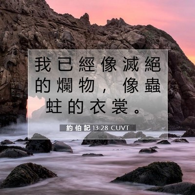 Picture 07 - 約 伯 記 13:28 CUVT - 我 已 經 像 滅 絕 的 爛 物 ， 像 蟲 - Bible Verse Picture