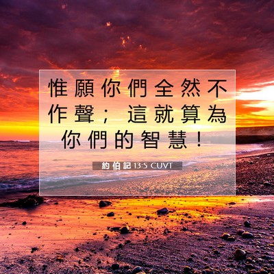 Picture 07 - 約 伯 記 13:5 CUVT - 惟 願 你 們 全 然 不 作 聲 ； 這 就 - Bible Verse Picture