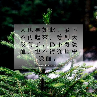 Picture 07 - 約 伯 記 14:12 CUVT - 人 也 是 如 此 ， 躺 下 不 再 起 來 - Bible Verse Picture