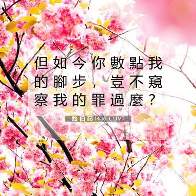 Picture 07 - 約 伯 記 14:16 CUVT - 但 如 今 你 數 點 我 的 腳 步 ， 豈 - Bible Verse Picture