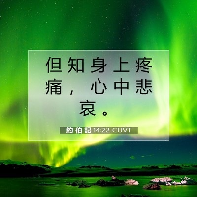 Picture 07 - 約 伯 記 14:22 CUVT - 但 知 身 上 疼 痛 ， 心 中 悲 哀 - Bible Verse Picture