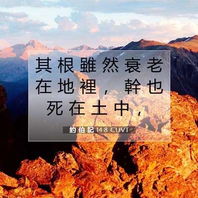 Picture 07 - 約 伯 記 14:8 CUVT - 其 根 雖 然 衰 老 在 地 裡 ， 幹 也 - Bible Verse Picture