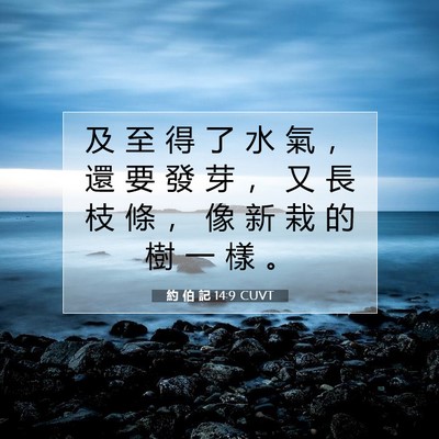 Picture 07 - 約 伯 記 14:9 CUVT - 及 至 得 了 水 氣 ， 還 要 發 芽 ， - Bible Verse Picture
