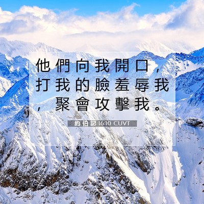 Picture 07 - 約 伯 記 16:10 CUVT - 他 們 向 我 開 口 ， 打 我 的 臉 羞 - Bible Verse Picture
