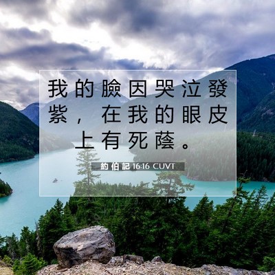 Picture 07 - 約 伯 記 16:16 CUVT - 我 的 臉 因 哭 泣 發 紫 ， 在 我 的 - Bible Verse Picture