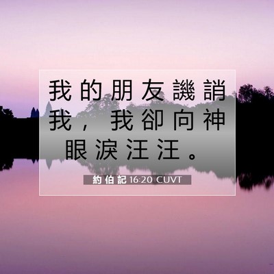 Picture 07 - 約 伯 記 16:20 CUVT - 我 的 朋 友 譏 誚 我 ， 我 卻 向 神 - Bible Verse Picture