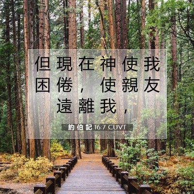 Picture 07 - 約 伯 記 16:7 CUVT - 但 現 在 神 使 我 困 倦 ， 使 親 友 - Bible Verse Picture