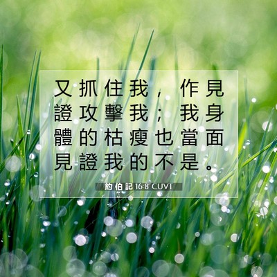 Picture 07 - 約 伯 記 16:8 CUVT - 又 抓 住 我 ， 作 見 證 攻 擊 我 ； - Bible Verse Picture