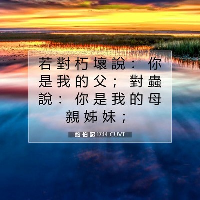 Picture 07 - 約 伯 記 17:14 CUVT - 若 對 朽 壞 說 ： 你 是 我 的 父 ； - Bible Verse Picture